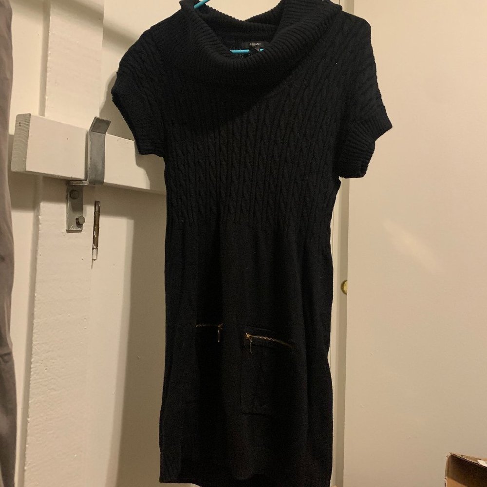 Black Turtleneck Dress